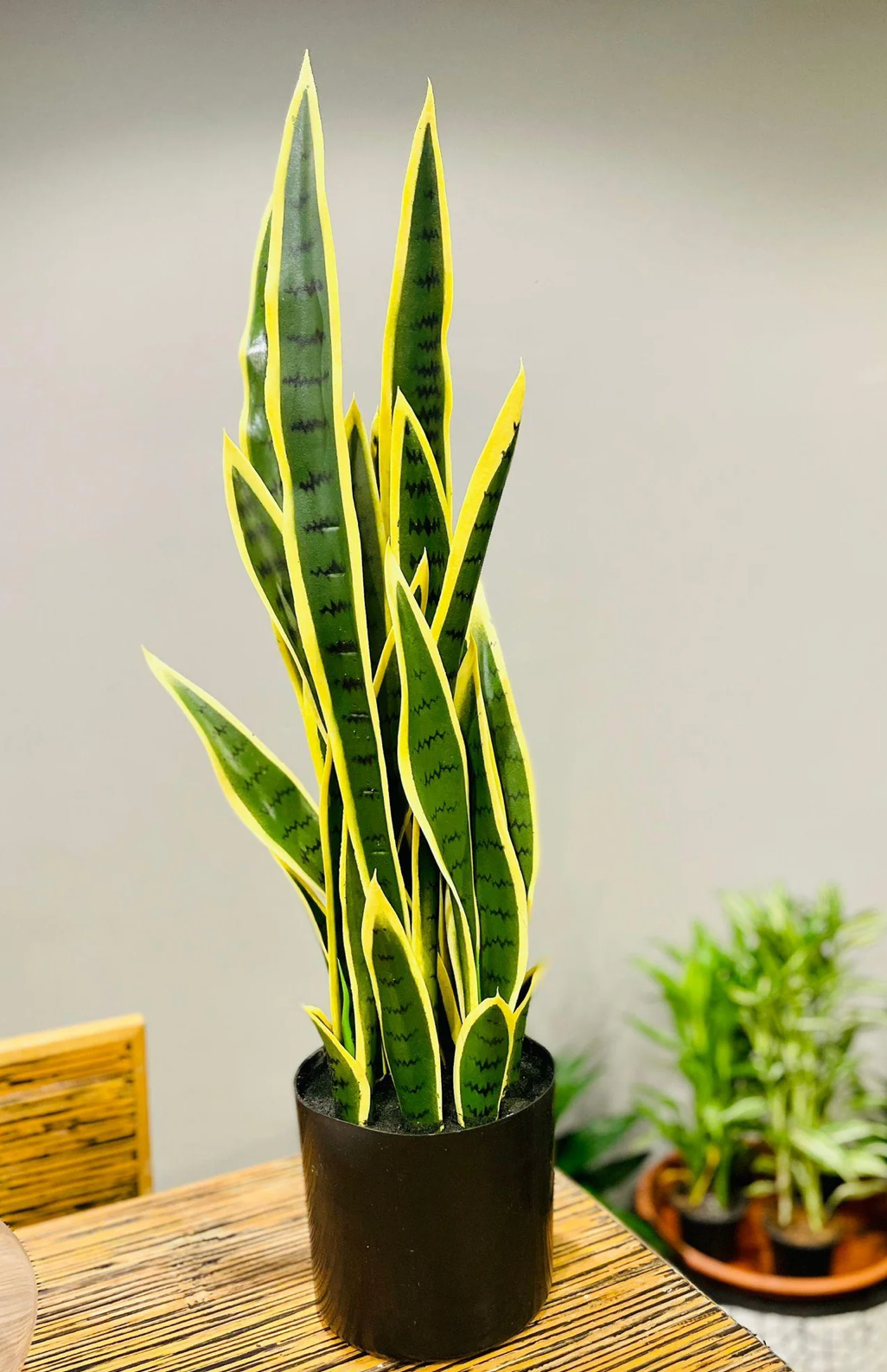 Lifelike Artificial Snake Plant