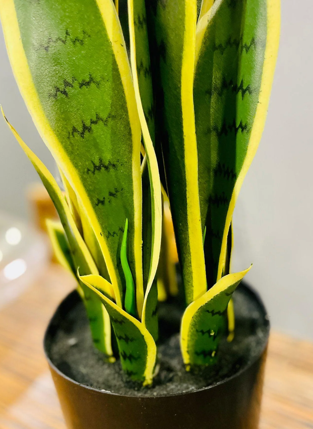 Lifelike Artificial Snake Plant