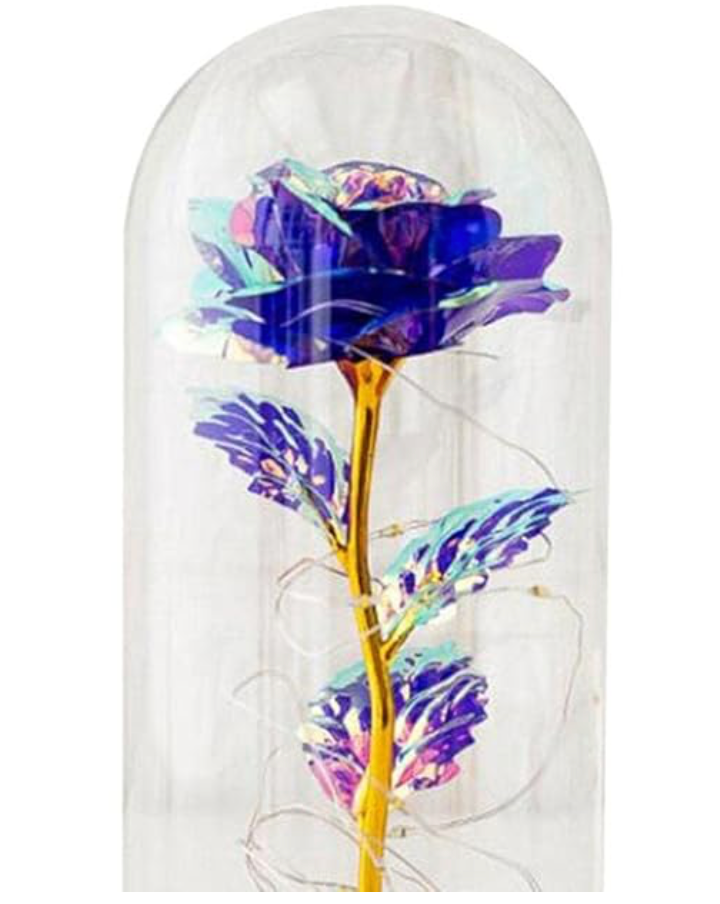 Nishiyuenyi Enchanted Rose Glass Dome – LED Light-Up Decorative Rose (Red)
