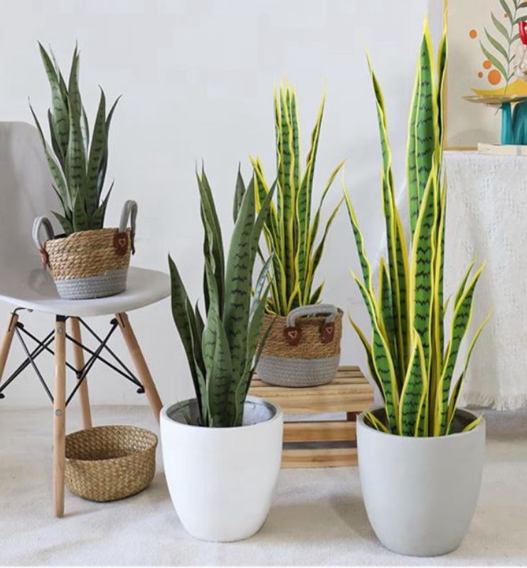 Lifelike Artificial Snake Plant